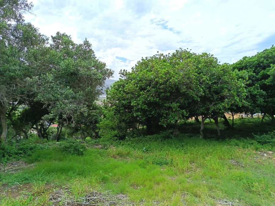 0 Bedroom Property for Sale in Bergsig Western Cape